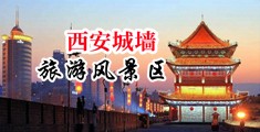 日本人体三级爱剪辑中国陕西-西安城墙旅游风景区
